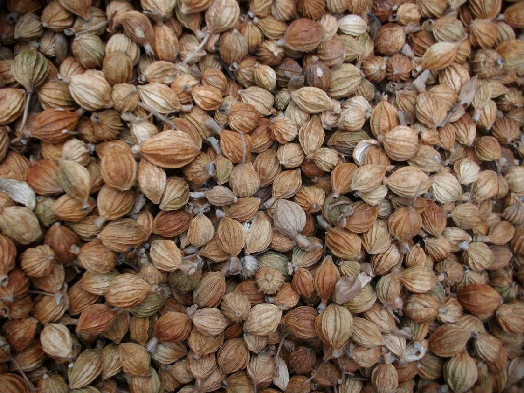 天然香精對人體有什么傷害